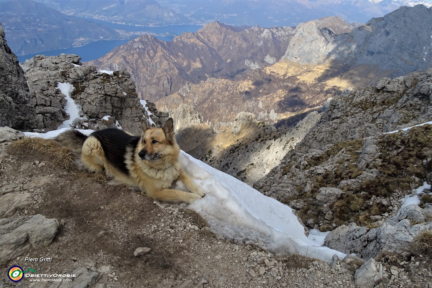 47 Alla Selletta di Val Scarettone...bel panorama ed ora bisogna salire il ripido strappo finale attrezzato.JPG